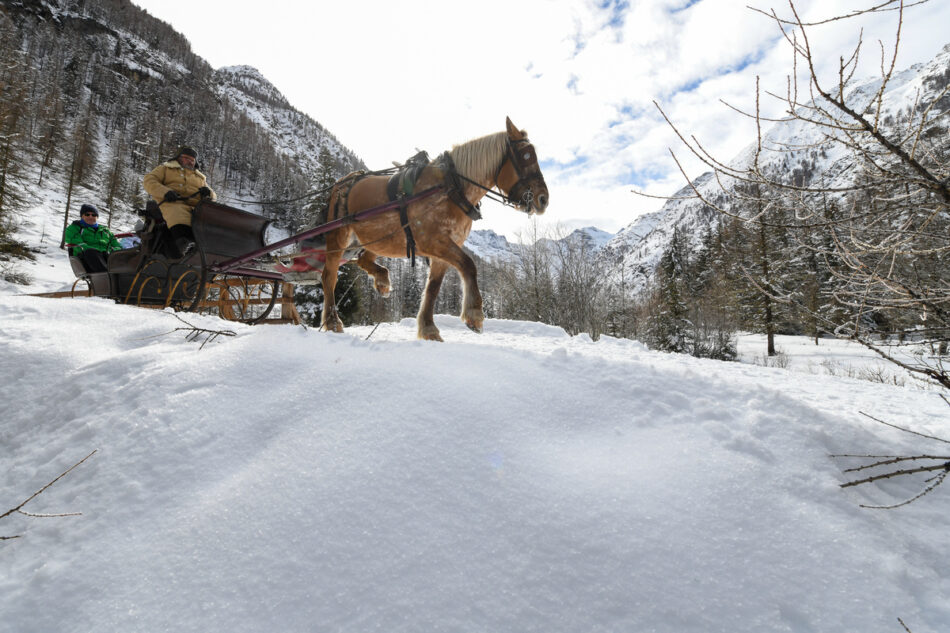 Passeggiate a cavallo